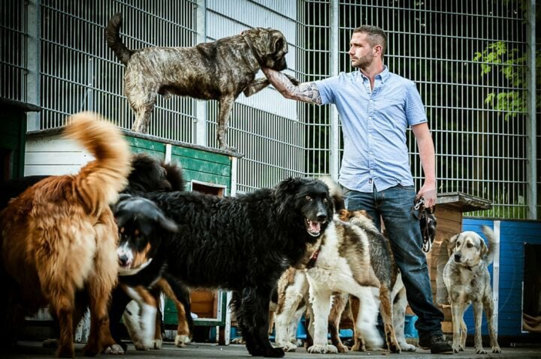 Probiers mal mit Gemütlichkeit... Wie mein Hund lernt mit Impulsen und Frust umzugehen und eine gute Selbstregulierung aufbaut